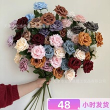 �¿���滨3�^��õ �ʯõ�� ��c��Y�ñ���ܛ�b�廨 ���Qõ�廨