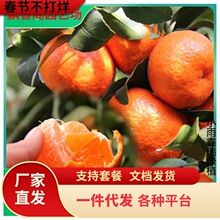 ����Y�����Ә��������Ϸ������Nֲ���Ӹ��ٽ��Ә���޽��ļ�ͥԺ