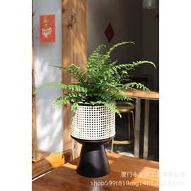 嘻物所 极简约日系铁艺室内花架仿藤编现代客厅移动设计桌面花盆