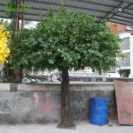 厂家可定制福禄桐树公园室外造景仿真树仿真福禄树假树仿真榕树