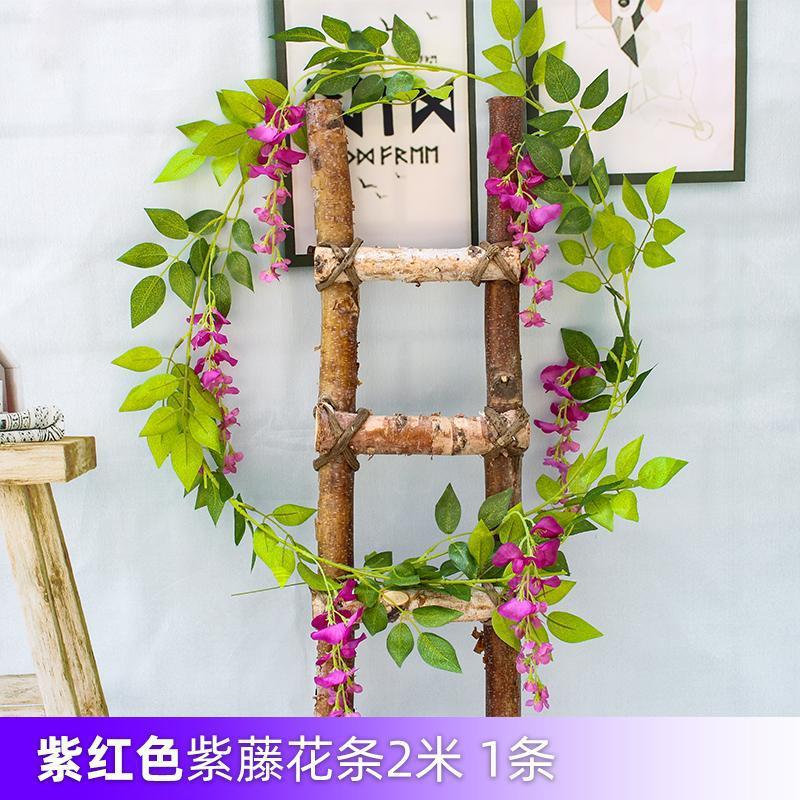 보라색 등나무 꽃 1 개