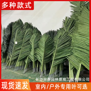 �����~��Ҭ�Ә亣�����~�Ӵ�С�ͼ٘������~�ؙ���Ž�������~