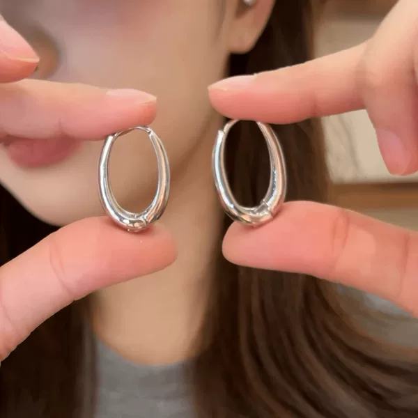 S925 Silver Needle Japanese and Korean silver Ear Buckle European and American Personality Circle Metal Advanced Sense Cold Wind Earrings Trendy Hip Hop Ear