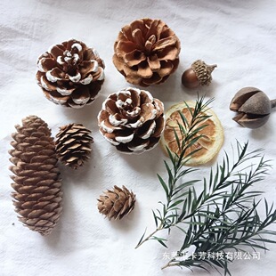 �ɹ��ɻ�diy���ϰ���Ȼֲ�����ɹ������~�ֹ������}�Q�b�