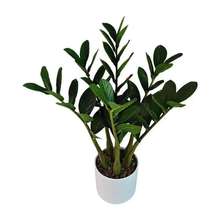 ����lؔ���X�� С�;Gֲ���� �Ҿ��̈��b٘� �Ꭷ�L�Gɫֲ��