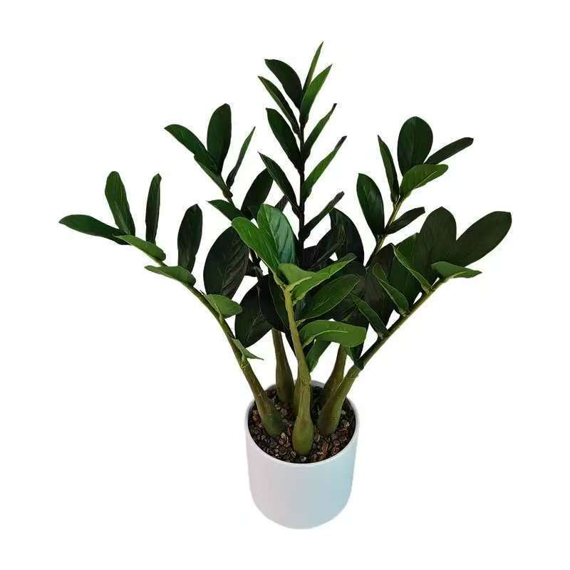 Simulated Fortune Money Tree, Small Green Plant Potted Plant, Home Shopping Mall Decorative Fake Tree, Tropical Wind Green Plant Simulated Fortune Money Tree, Small Green Plant Potted Plant, Home Shopping Mall Decorative Fake Tree, Tropical Wind Green Plant