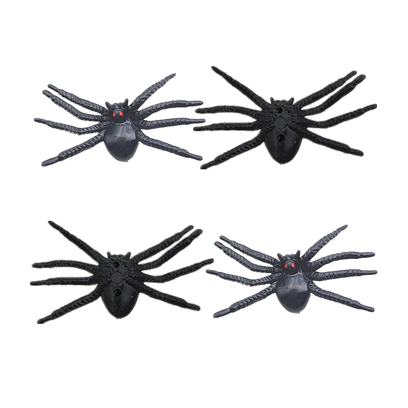 Red-Eyed Spider Image 2