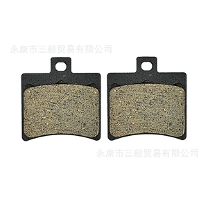 Qianjianglong QJ150-19A QJ150-19D üçün ön və arxa disk əyləc bəndləri
