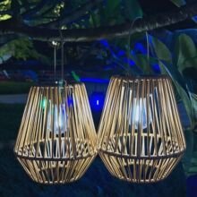 ̫ܟׁLֹm춻@ͥԺ̨bYƷF؛