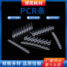 �S�Ҷ�������0.2ml8�B��12�B��200PCR�� 200�l/�� �ɹⶨ�� PCR�l