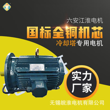六安江淮电机厂家直销冷却塔专用机电机强劲动力 性能稳定18/22kw
