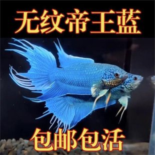 �Ї����~�������w���~��ˮ��ˮ�^�p�~�� �B������С���~���B���~