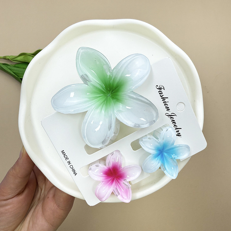 96g Weight Hair Claws Hair Accessories Type 1 Set Quantity Daily Occasion Plastic, Resin Material Plumeria Pattern All Seasons Season Women's Gender Stoving Varnish Design Cute Style Cute Women's Plumeria Plastic Resin Stoving Varnish Hair Claws 19