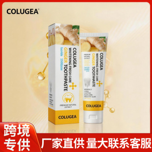 �羳̩��TK���������ݱ������������¿ښ�ȥ�����nȫӢ�����Q����