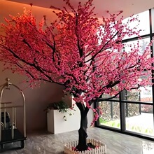 �����һ�����Ҙ����ֲ�����ѻ���Ƶ�����b��S��һ�÷��