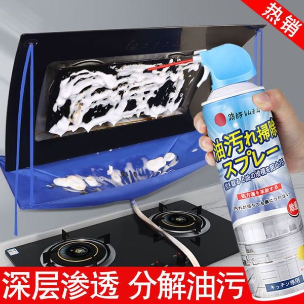 Japanese Range Hood Cleaner Household Kitchen Oil Stain Remover Powerful Foam Cleaner