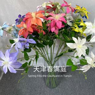 ���^�F��ɏ����Y�F�������¿��c��ˇ���ٻ��Ҿ��bS�����l