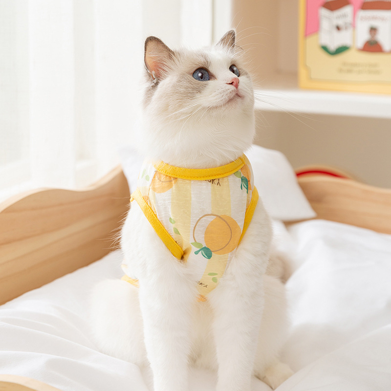 Gato de verano respirable delgado lindo viento impresa mascota Teddy Bo Mei chaleco de dos patas gato sin pelo ropa de gato azul