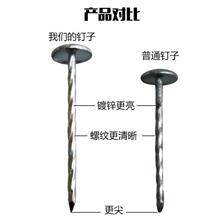 石棉瓦钉 瓦楞钉大头钉 彩钢瓦钉 图钉2寸2.5寸3寸4寸一箱20包