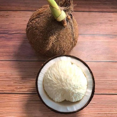 Coconut 14 Hainan fresh milk Large fruit Germination Copra