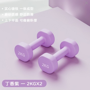 ダンベルの女性のフィットネスの家庭用の器材の子供の男性の純鉄のスーツの組み合わせのダンベルの小学校の腕の筋肉のフィットネス器|undefined