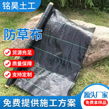 ���ݲ����ݲ����@�s�����Ͽ��ϻ��������@ˇ͸��Bˮ�Gɫ���ݲ�