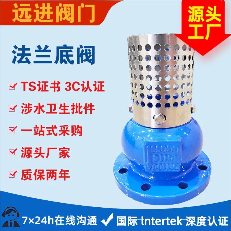 德标单法兰底阀 H41X 带不锈钢304滤网   球墨铸铁水泵吸水阀