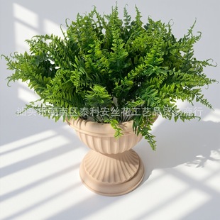 羳21~˹ݷGֲ첨˹~ާֲ߲PβСb