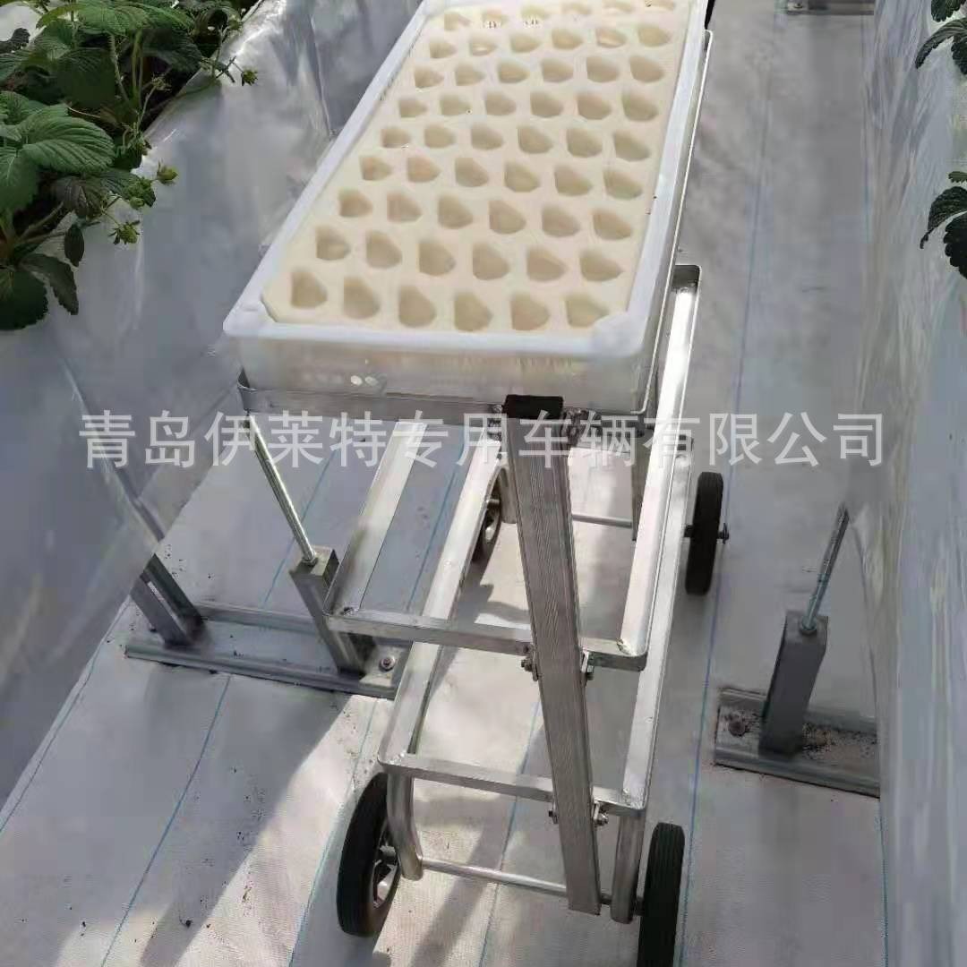 厂家推荐草莓采摘车， 温室大棚农业草莓工具采收车， 方便手推车