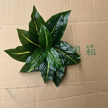 仿真植物墙米兰草坪尤加利叶塑料草假绿植墙景观草坪装饰叶子