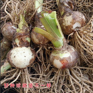 ��피t�N���M���ذ���a�ΰ��ļ��_���������҃����̨����ͥԺ��