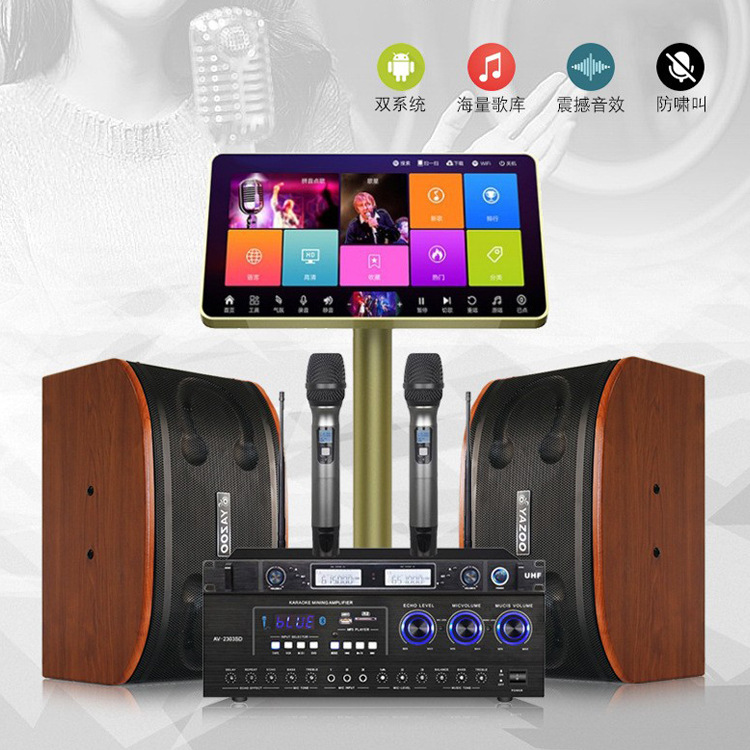 Venta al por mayor personalizado familia KTV profesional audio traje hogar karaoke Conferencia conjunto completo 10 pulgadas titular de la tarjeta altavoz
