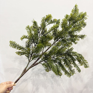 ����t��ɼ���~�����b��ɼ���~����~�}�Q�九�վGɫ�ɘ�G�~