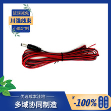 DC5521ע�ܺ�ɫ���^�t���p�K��20p�ӕr���V�����Դ�����侀