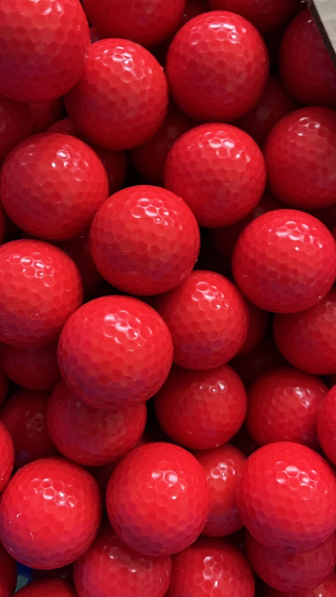 微信图片_20241119104944