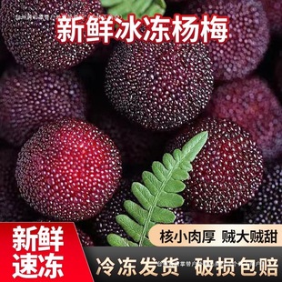 ����÷���r�r��������r��÷�����ɾӱ�����÷�ݾ�һ������朰��]