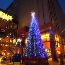 定制圣诞树景观灯大型市政工程造型灯商场节日装饰亮化户外美陈灯