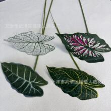 ��c�ٻ��b羳�Gֲ���l��Ƭ����G�}�~�����~�Ҿӿ͏dֲ��[��