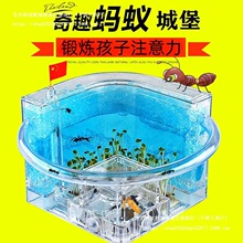 �C�Ƿ�ρ��ρ����׃��@��B��Λρ�������׃����^��e����