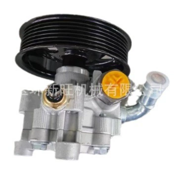 Power Steering, Gücləndirici nasosu