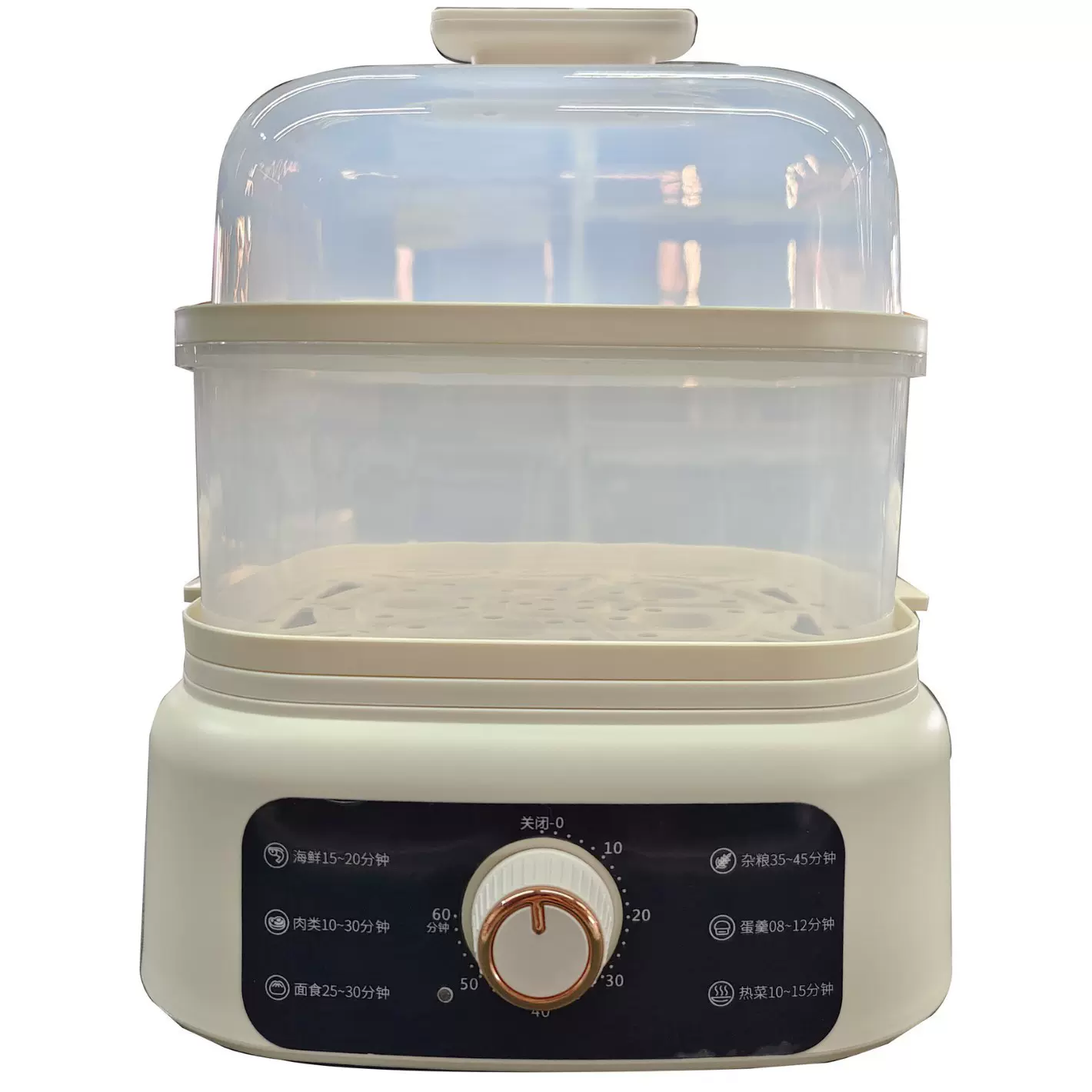 新款8L小双层电蒸锅家用可小批量源头工厂OEM订制小家庭专用