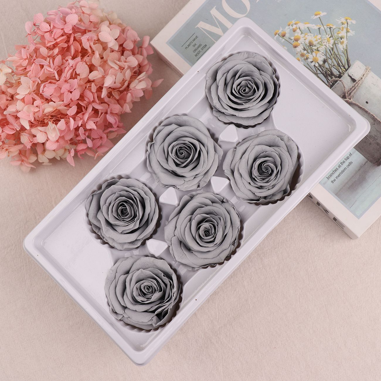 Rosa Preservada A+ de 5-6 cm, Flor Real Seca, Regalo DIY, Venta al por Mayor de Yunnan, Ramo para el Día de la Madre, 520