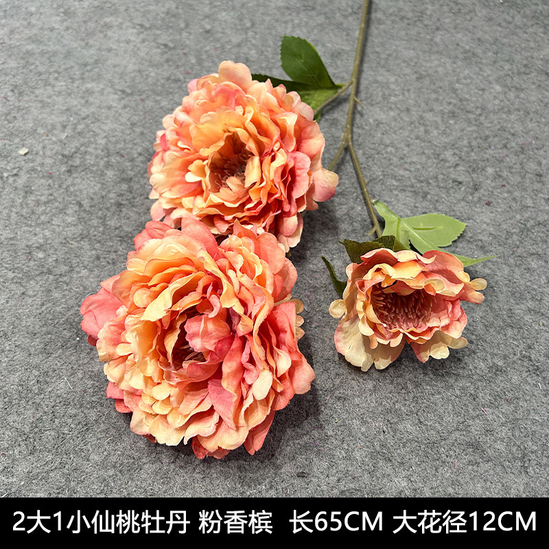 Fairy Peach Peony 2 large 1 small autumn powder