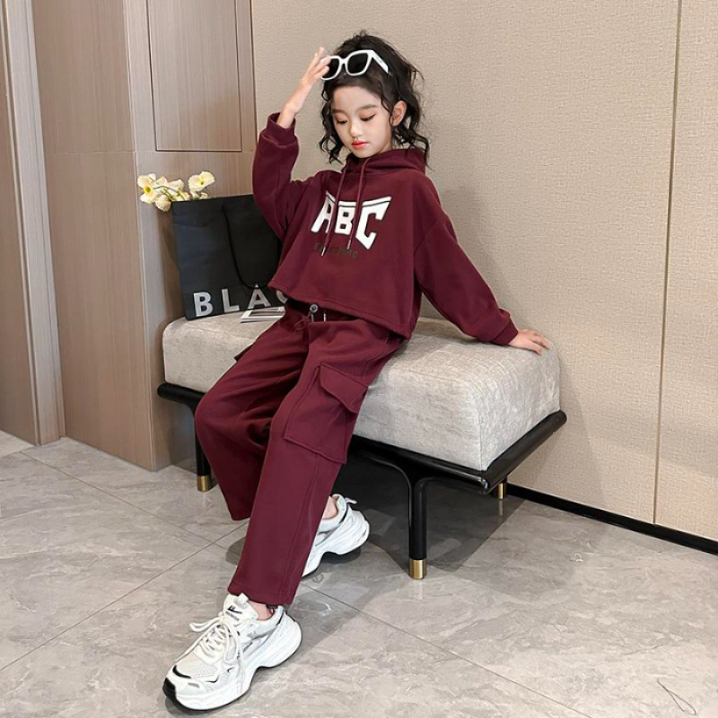 Girls Autumn Long Sleeved Hooded Sweatshirt And Cargo Pants Set_voghion.com