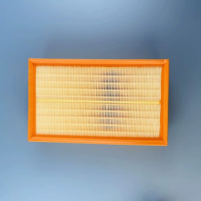 Amazon Adapts to the Air filter