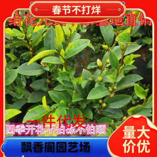 һ�����l�ļ���Ц�������ԝ����Ϳ͏d�҃Ȼ����^��ֲ��ͥԺ���纬