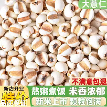 �F�ݴ�޲���������r��޲��������s�Z��؛Ŵ���������Ҝ�����