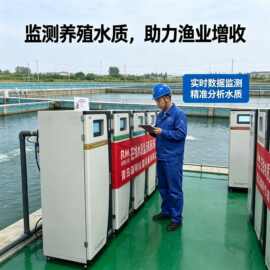瑞明 COD 氨氮总磷总氮在线分析仪 水产养殖工业园区排污口监测仪