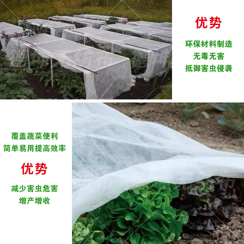 丙纶无纺布农用无纺布厂家供应育秧育苗保温隔热毯防虫纱网水稻布