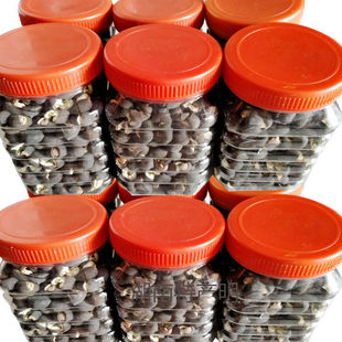 ��ɏ�Ӻ����_��ɏ�Ӹ�؛������ɏ����о��ɏ�Ӽ�ʳ�泴ɏ�Ӱ��]